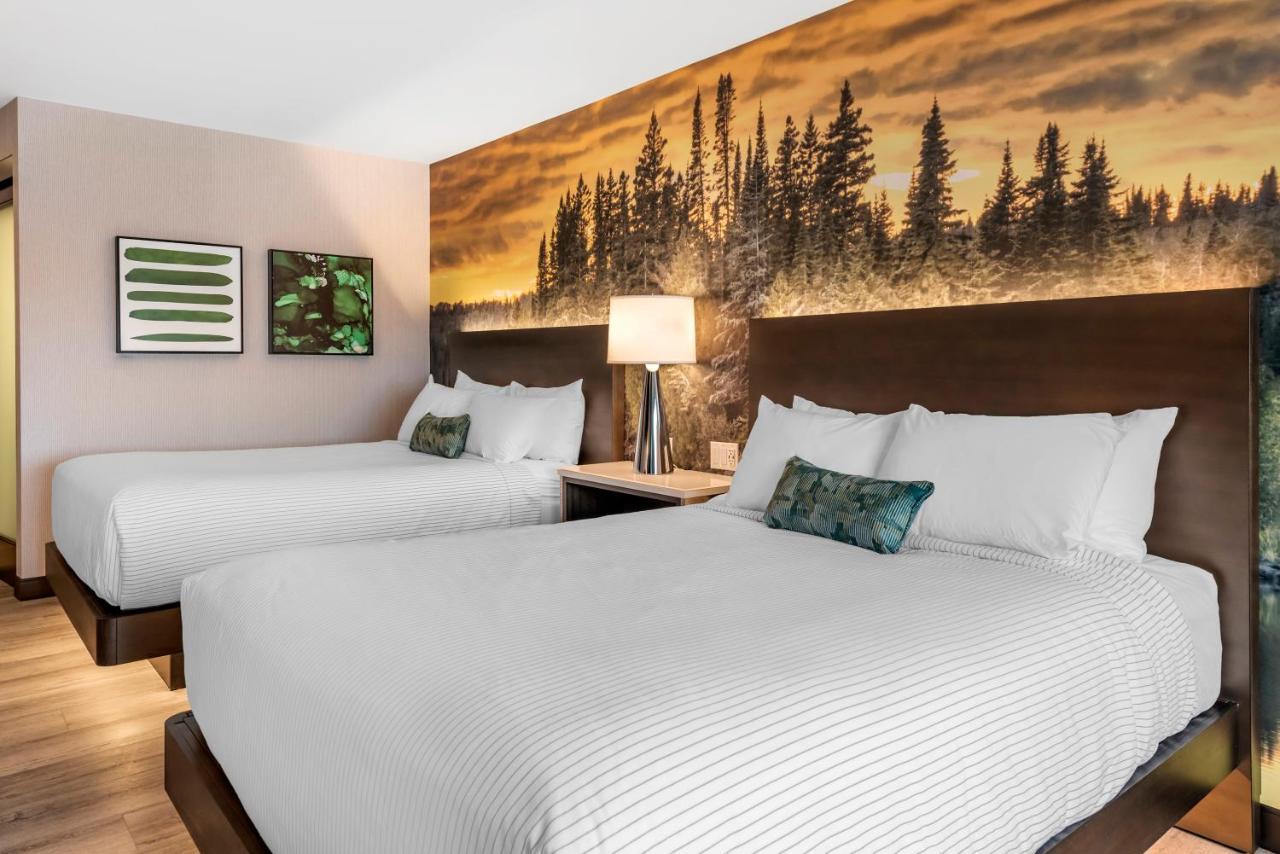 Cambria Hotel Shelby Township - Detroit Utica Shelby Twp Екстериор снимка