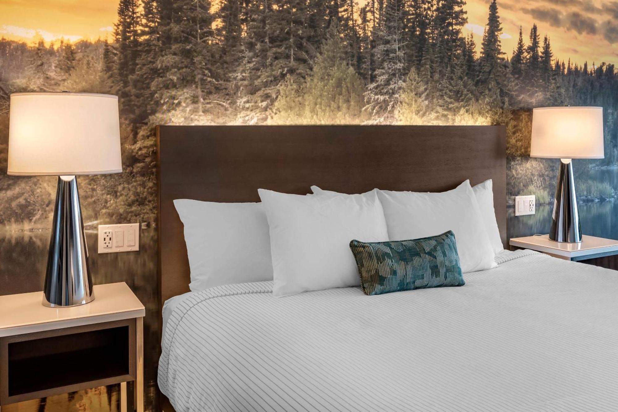 Cambria Hotel Shelby Township - Detroit Utica Shelby Twp Екстериор снимка